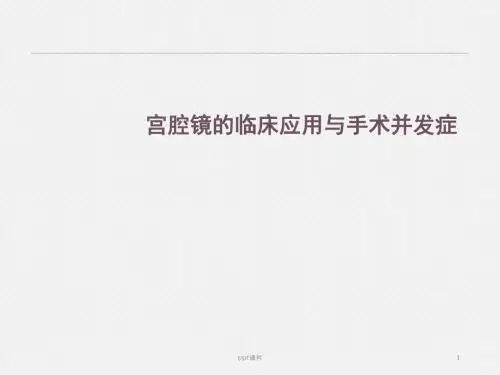 宫腔镜手术并发症  ppt课件