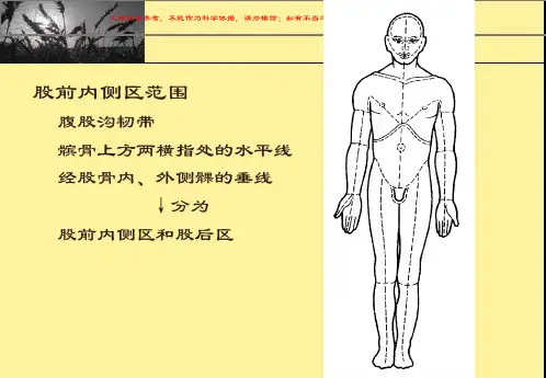 局部解剖学股前内侧区培训课件