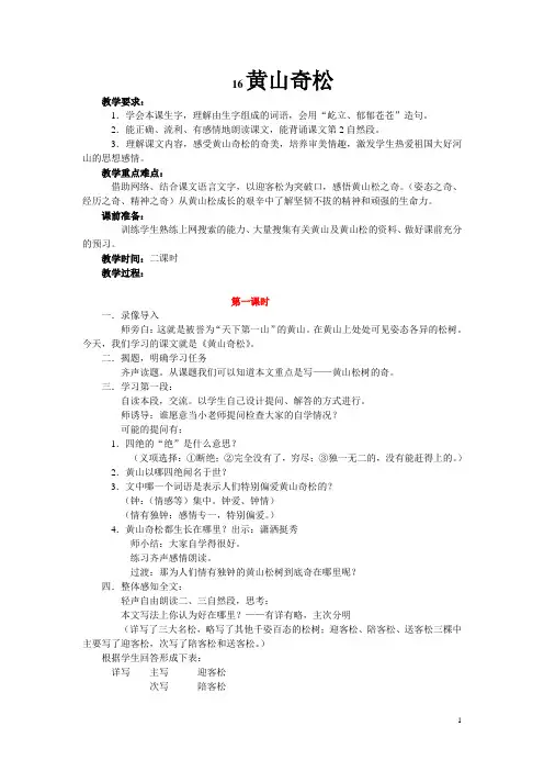 黄山奇松 2