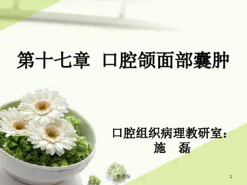 口腔组织病理学 囊肿