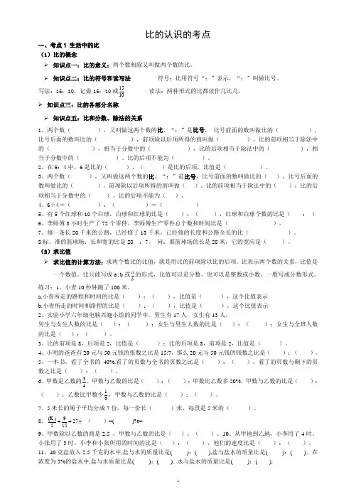 比的认识的考点