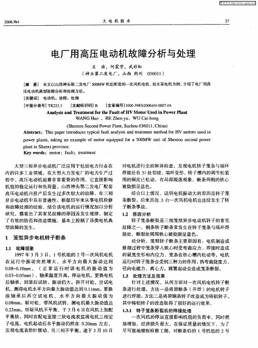 电厂用高压电动机故障分析与处理