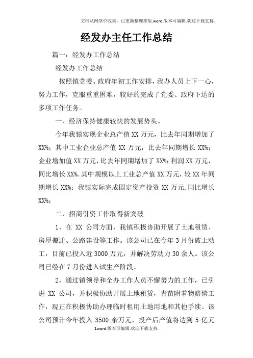 经发办主任工作总结