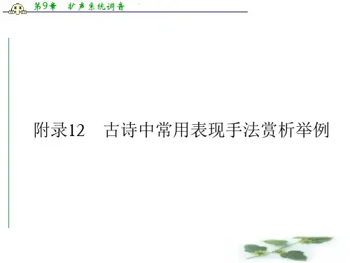 高考语文一轮复习(人教)精品课件附录12