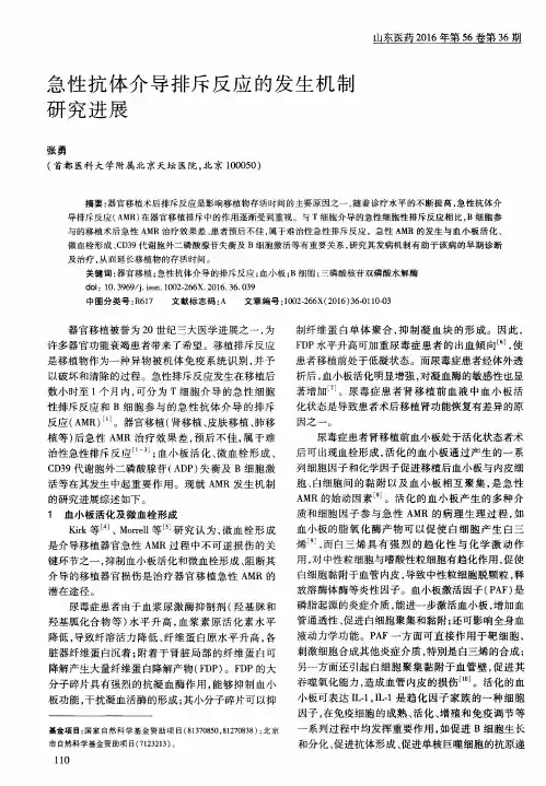 急性抗体介导排斥反应的发生机制研究进展