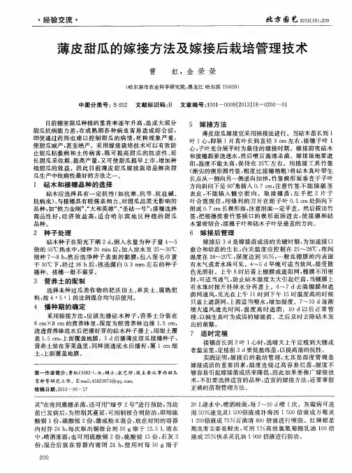 薄皮甜瓜的嫁接方法及嫁接后栽培管理技术