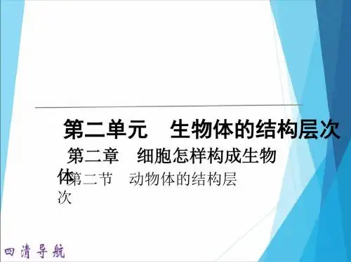 《动物体的结构层次》练习题