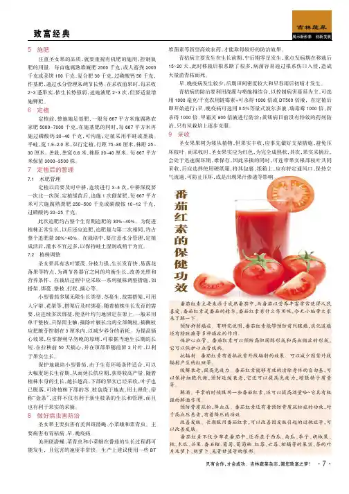 番茄红素的保健功效