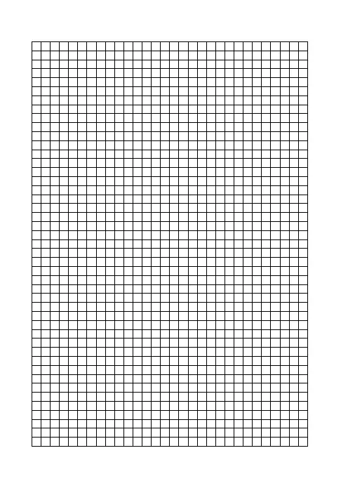 0.5mm正方格