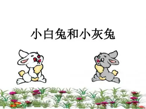 《小白兔和小灰兔》课件1-优质公开课-鲁教一下精品