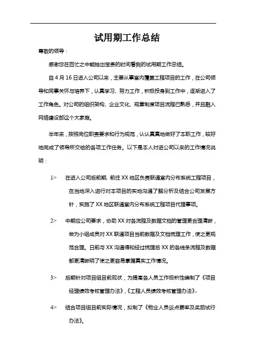 试用期转正工作总结(精点)