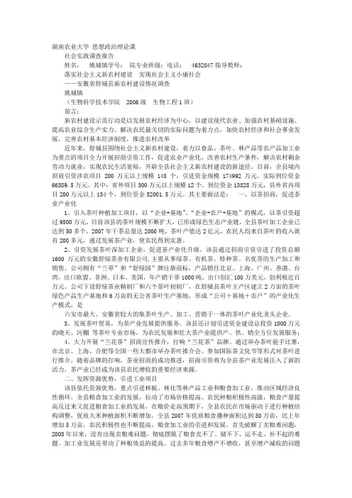 新农村建设考察报告