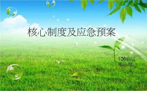 护理核心制度