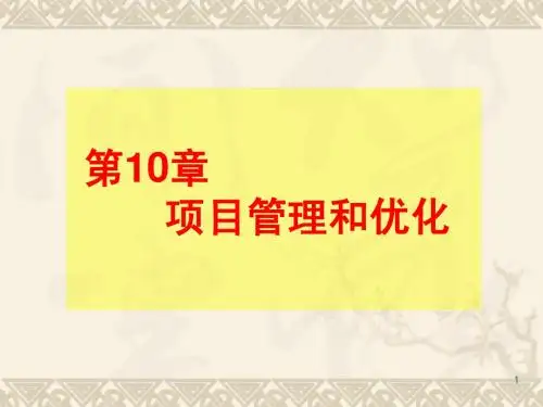 第10章 项目管理和优化