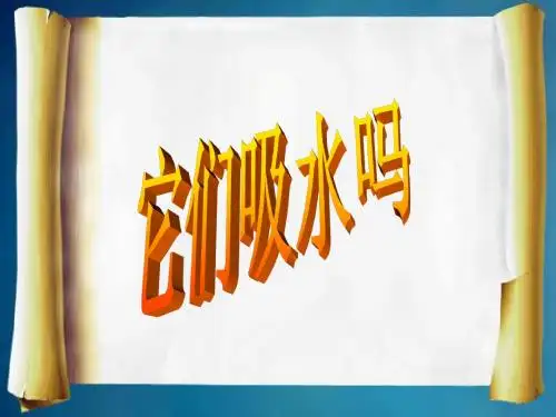 2016秋教科版科学三上3.4《它们吸水吗》ppt课件2