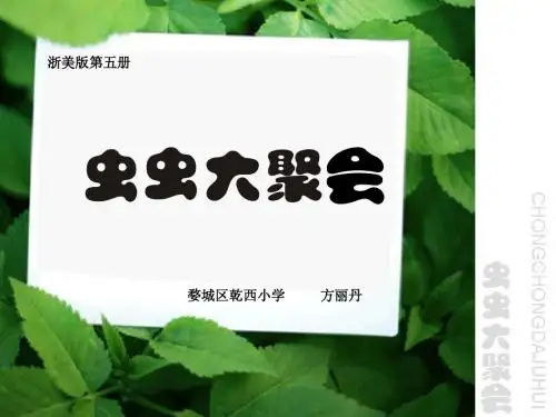 虫虫大聚会