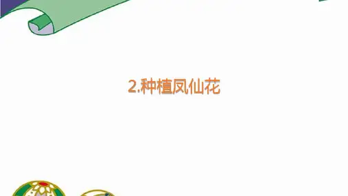 1.2种植凤仙花课件