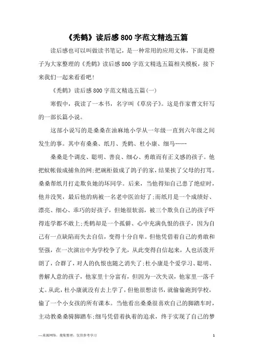 《秃鹤》读后感800字范文精选五篇