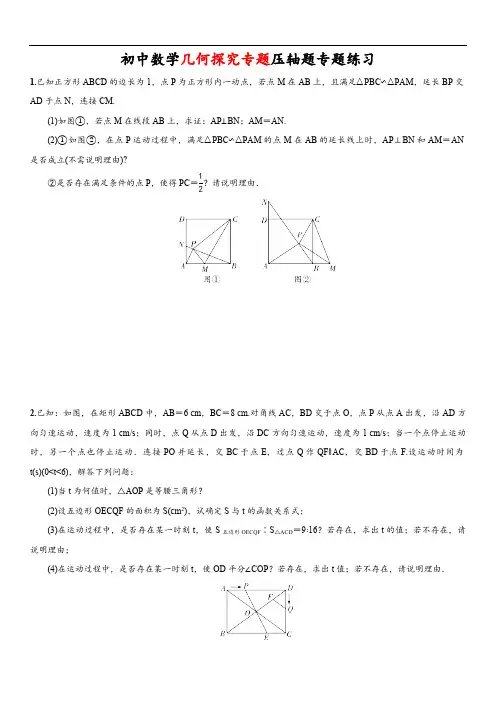 初中数学数学专题专练：几何探究专题
