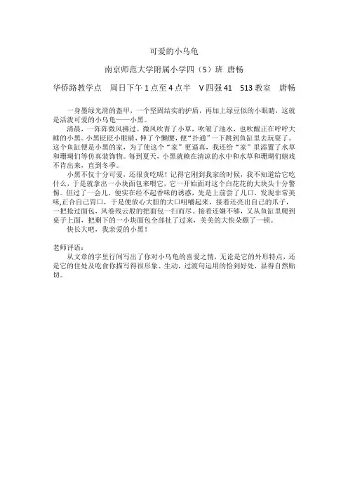 可爱的小乌龟 3