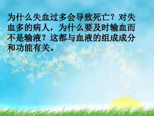血液1