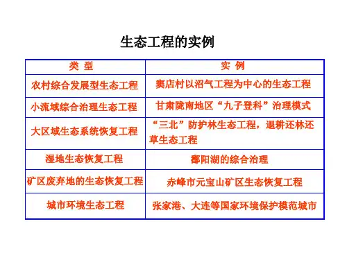 生态工程的实例
