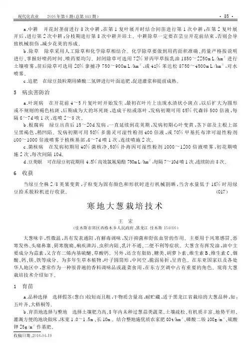 寒地大葱栽培技术