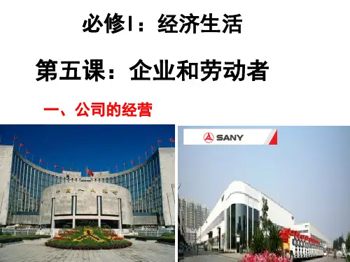 2014届高三政治一轮复习课件企业和劳动者概要