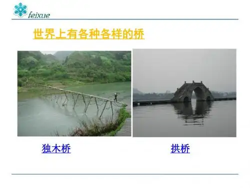 人教版语文五年级下《桥》