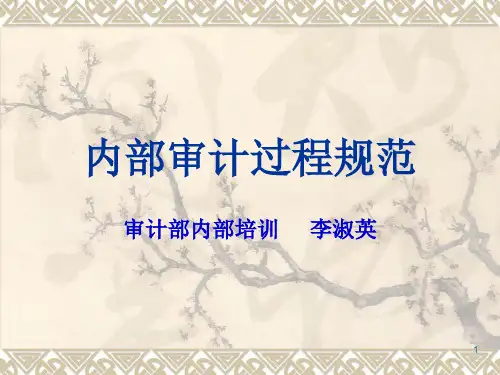 内控审计流程规范培训资料演示课件(ppt81张)