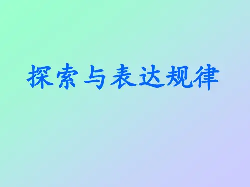 北师大版七年级数学探索规律