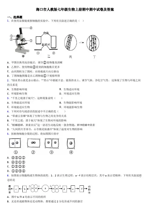 海口市人教版七年级生物上册期中期中试卷及答案