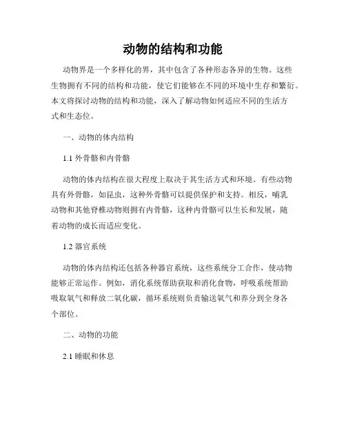 动物的结构和功能