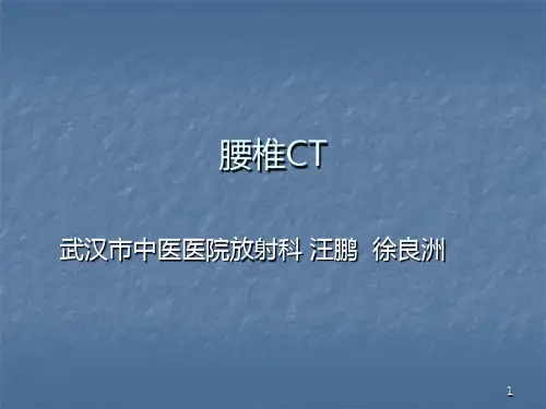 腰椎CPPT课件