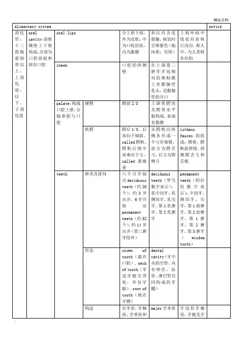 系统解剖学 消化系统总结