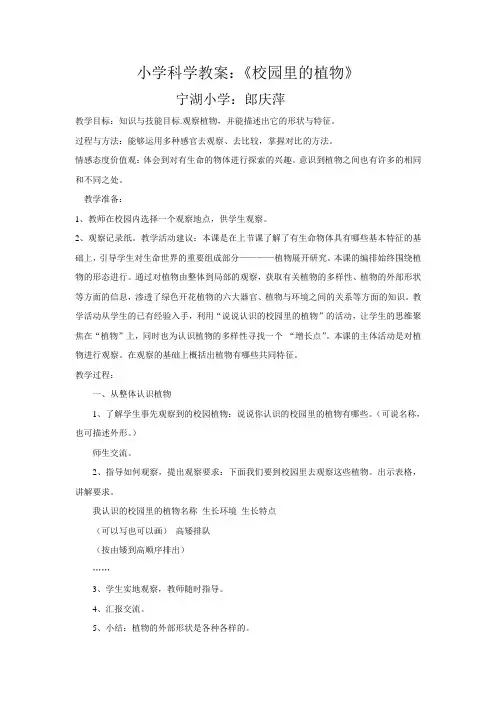 小学科学教案