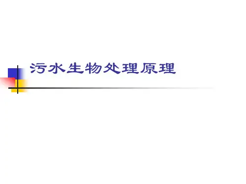 污水生物处理原理