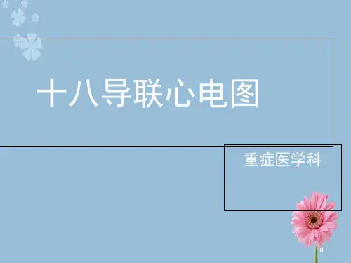 十八导联心电图(课堂PPT)