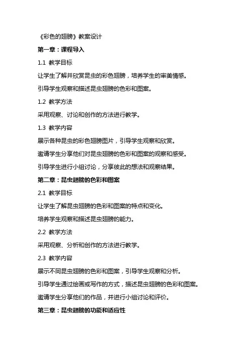 《彩色的翅膀》教案设计