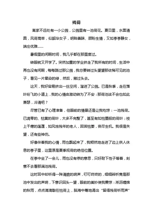 初三作文：残荷作文800字