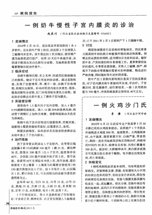 一例奶牛慢性子宫内膜炎的诊治
