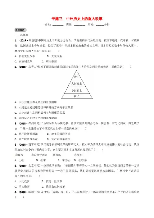 中考历史复习专题三中外历史上的重大改革练习