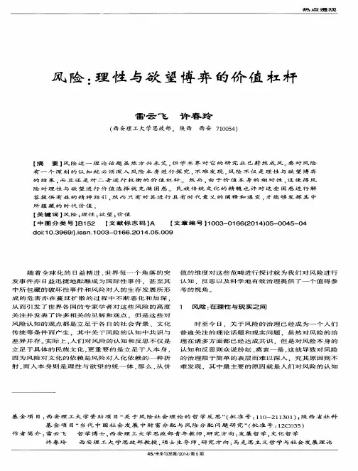 风险：理性与欲望博弈的价值杠杆