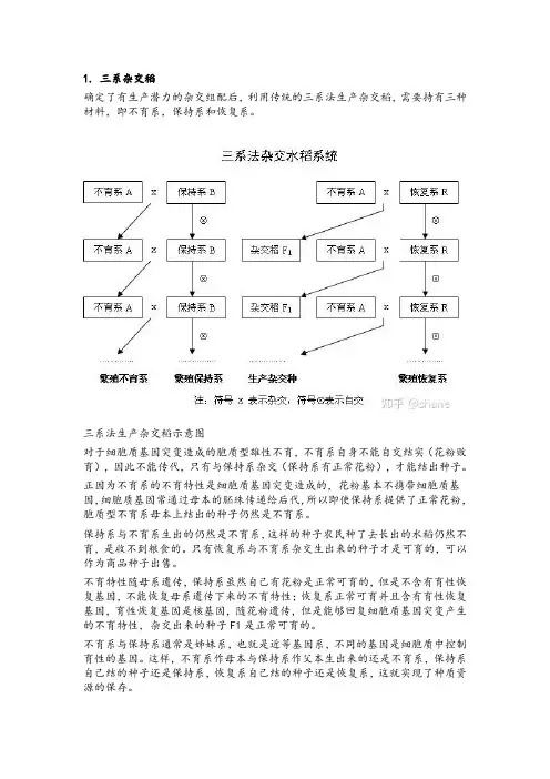 袁隆平三系及两系杂交水稻育种法
