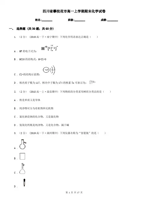 四川省攀枝花市高一上学期期末化学试卷