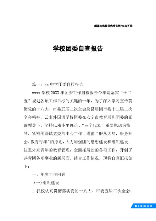 学校团委自查报告