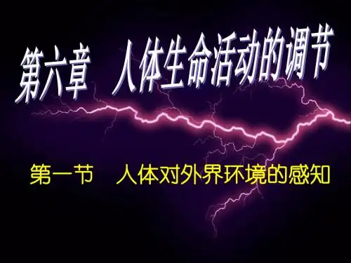 4[1].6.1-1人体对外界环境的感知(复习)