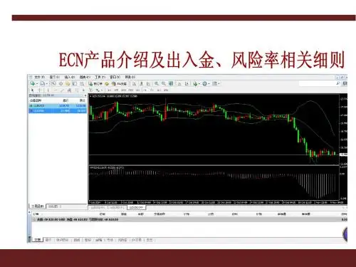 ECN产品介绍及出入金、风险率相关细则