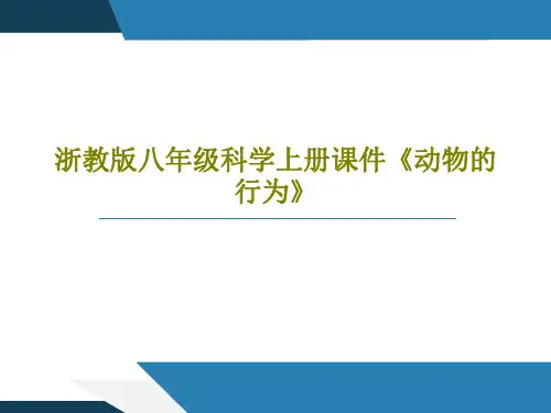 浙教版八年级科学上册课件《动物的行为》18页PPT