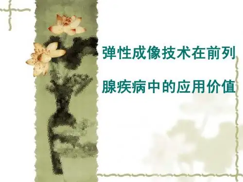 弹性成像在前列腺疾病的应用